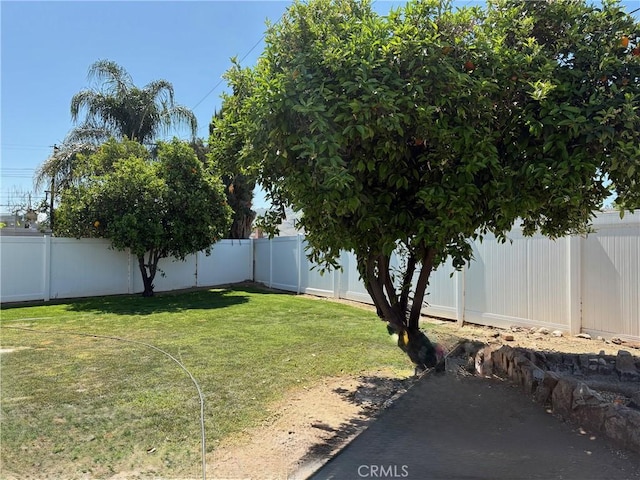3670 Upper Terrace Dr, Riverside, CA 92505 - view of yard