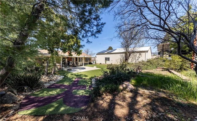 view of yard featuring a patio