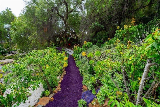 4210 Black Mountain Rd, La Mesa, CA 91941 - view of yard with a garden