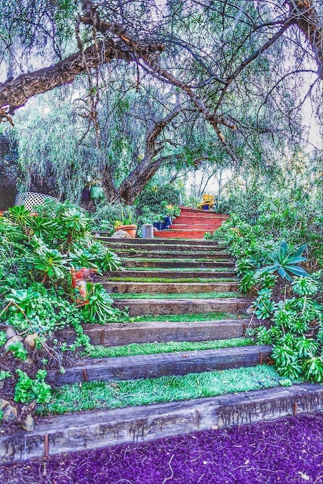 4210 Black Mountain Rd, La Mesa, CA 91941 - view of yard