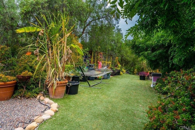 4210 Black Mountain Rd, La Mesa, CA 91941 - view of green lawn
