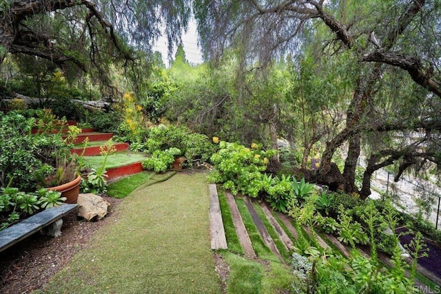 4210 Black Mountain Rd, La Mesa, CA 91941 - view of grassy yard