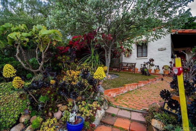 4210 Black Mountain Rd, La Mesa, CA 91941 - view of yard