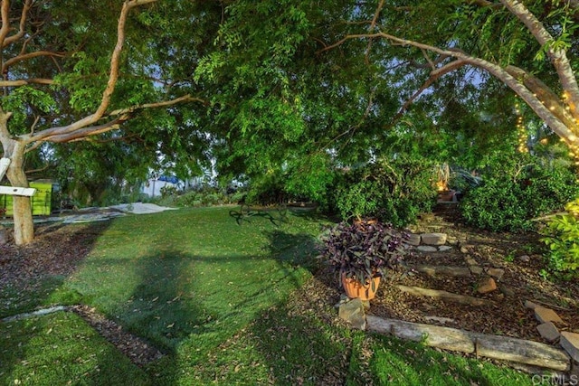 4210 Black Mountain Rd, La Mesa, CA 91941 - view of green lawn