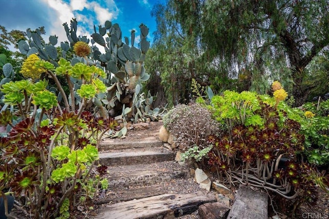 4210 Black Mountain Rd, La Mesa, CA 91941 - view of yard