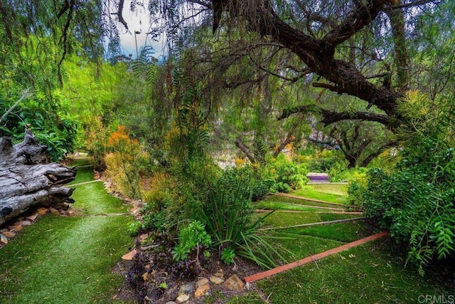 4210 Black Mountain Rd, La Mesa, CA 91941 - view of yard featuring a forest view