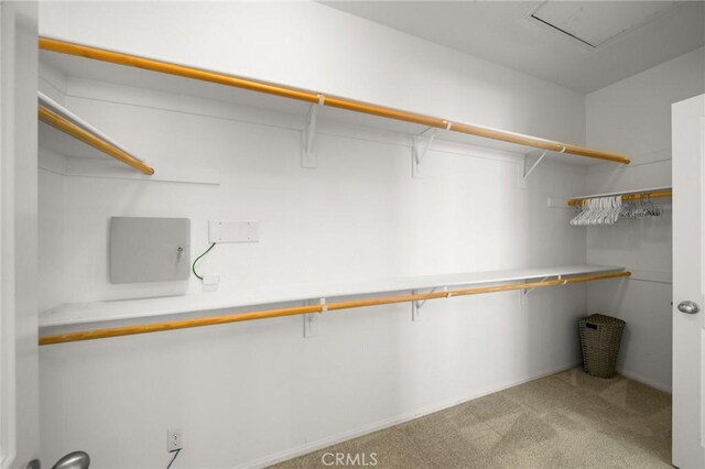 73992 Van Gogh Dr, Palm Desert, CA 92211 - walk in closet featuring light carpet