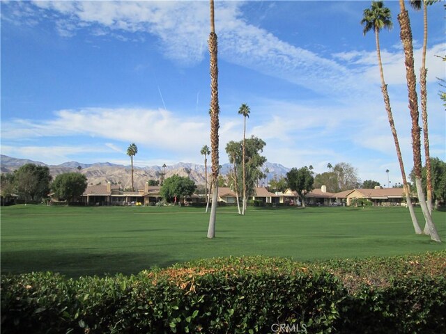 surrounding community featuring a mountain view, a residential view, and a yard