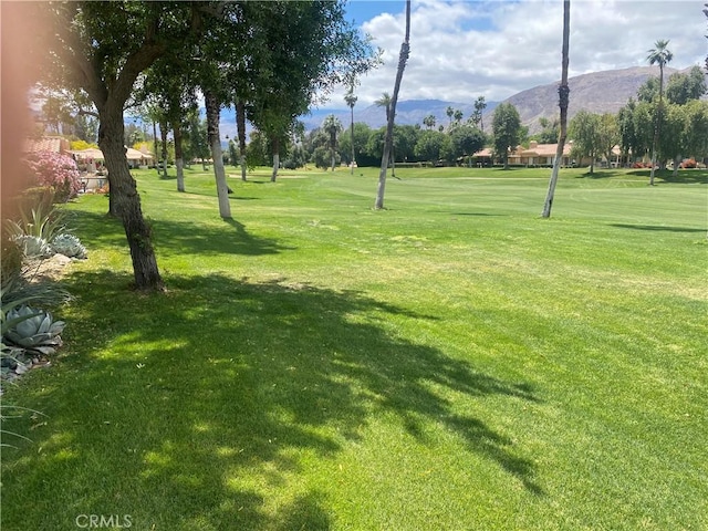 263 Serena Dr, Palm Desert, CA 92260 - view of property's community with a mountain view and a yard
