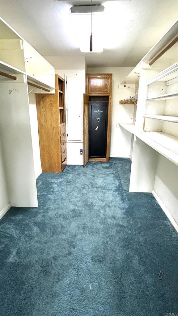 spacious closet featuring carpet floors