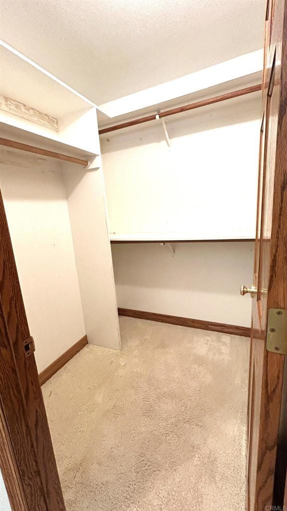 spacious closet with carpet