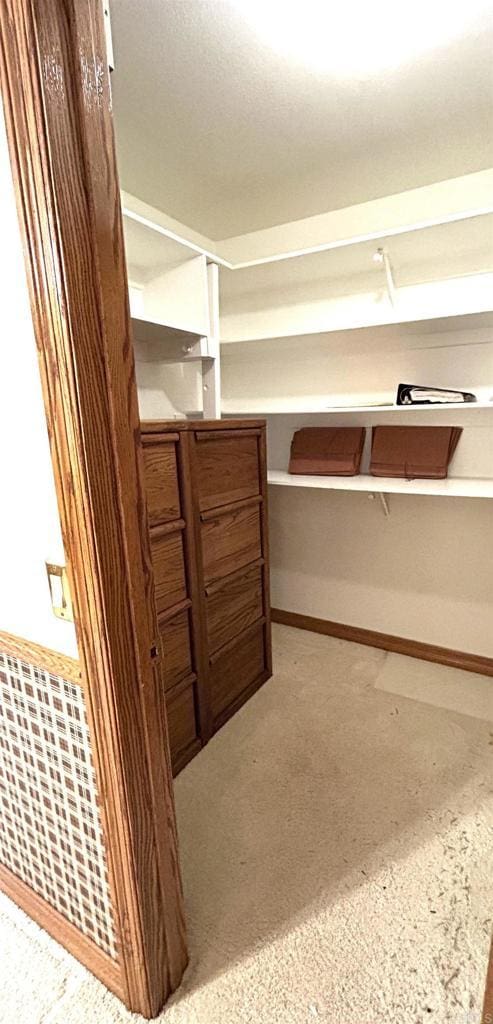 view of walk in closet