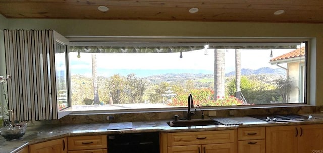 kitchen featuring a sink, cooktop, and dishwasher