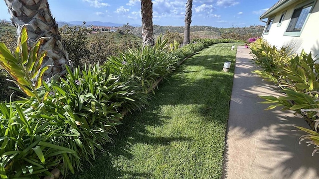 view of yard
