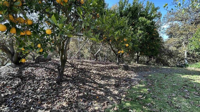 1973 Vista Del Mar, Bonsall, CA 92003 - photo 14