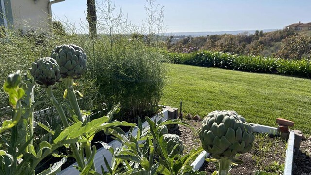 1973 Vista Del Mar, Bonsall, CA 92003 - photo 10