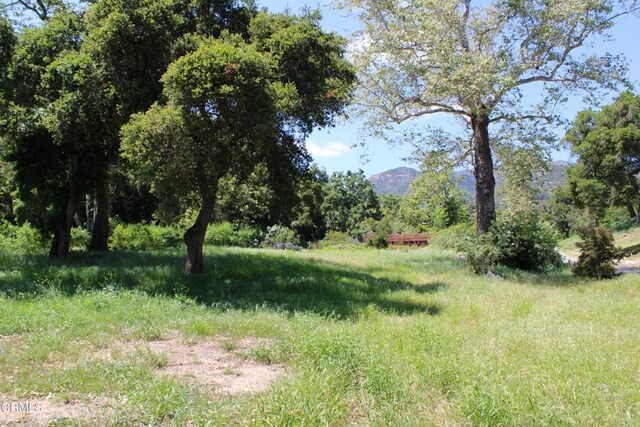 809 Ashley Rd, Montecito, CA 93108 - photo 8