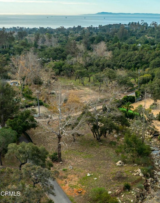 809 Ashley Rd, Montecito, CA 93108 - photo 14