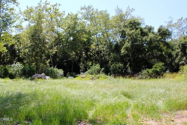 809 Ashley Rd, Montecito, CA 93108 - photo 11