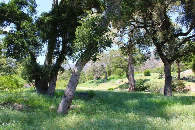809 Ashley Rd, Montecito, CA 93108 - photo 7
