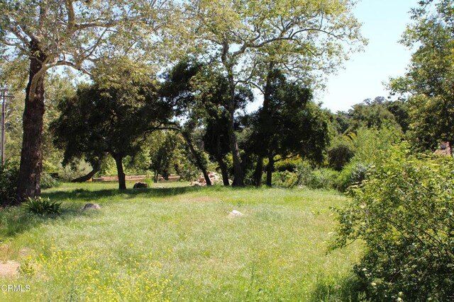 809 Ashley Rd, Montecito, CA 93108 - photo 10