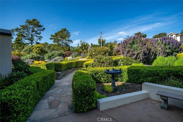 surrounding community with a patio area