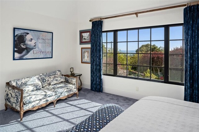 bedroom with baseboards and carpet
