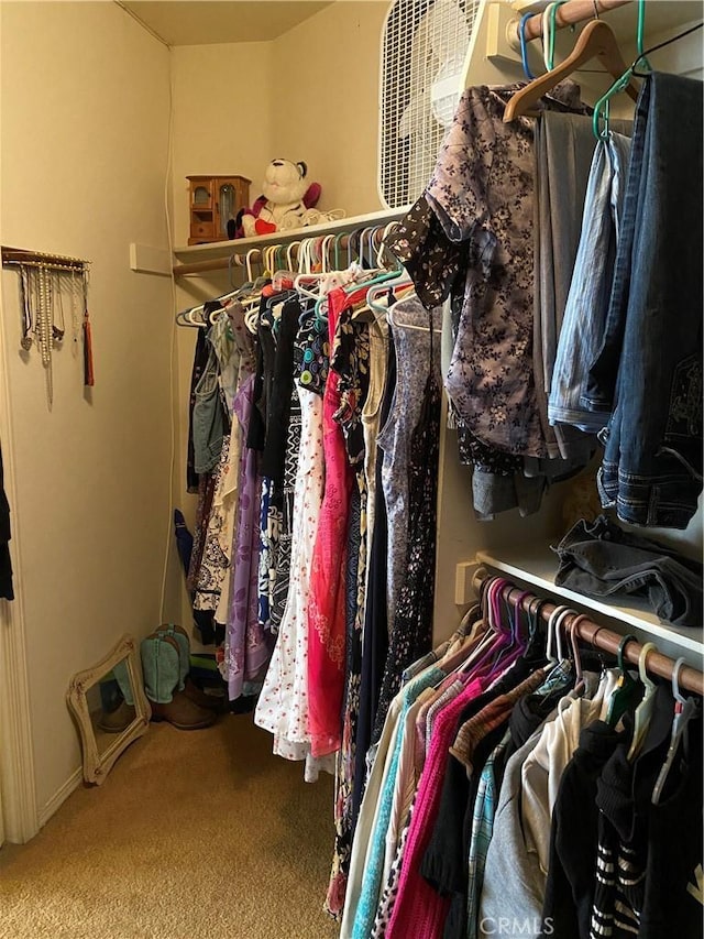 walk in closet with carpet flooring
