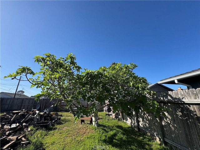 1078 Maple St, Arroyo Grande, CA 93420 - view of yard with a fenced backyard