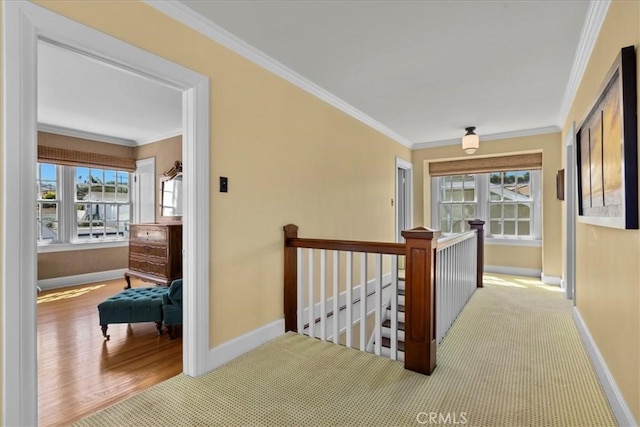 1239 S Patton Ave, San Pedro, CA 90731 - corridor featuring an upstairs landing, ornamental molding, plenty of natural light, carpet, and wood finished floors