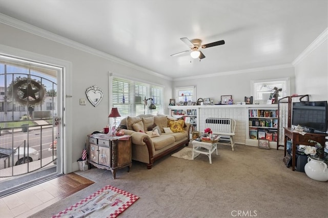 1239 S Patton Ave, San Pedro, CA 90731 - living room with crown molding, a ceiling fan, carpet, and radiator heating unit
