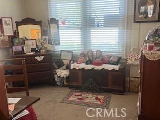 1239 S Patton Ave, San Pedro, CA 90731 - bedroom with multiple windows