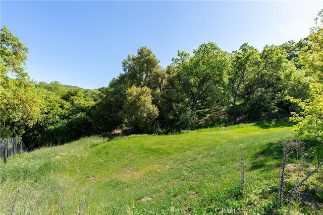 view of yard featuring a view of trees