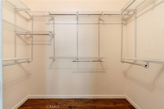 walk in closet featuring dark wood-style flooring