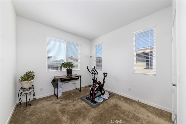 workout room featuring plenty of natural light, baseboards, and carpet floors