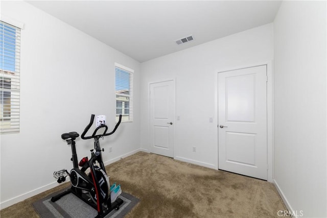 workout room with baseboards, visible vents, and carpet floors