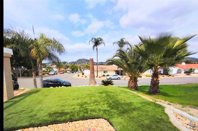 view of yard with a mountain view