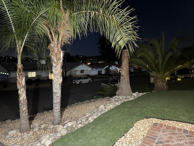 view of yard at night