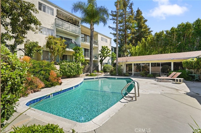 10240 Camarillo St Unit 204, Toluca Lake, CA 91602 - pool featuring a patio area