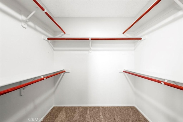 spacious closet with carpet flooring