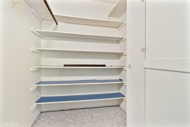 spacious closet with carpet floors