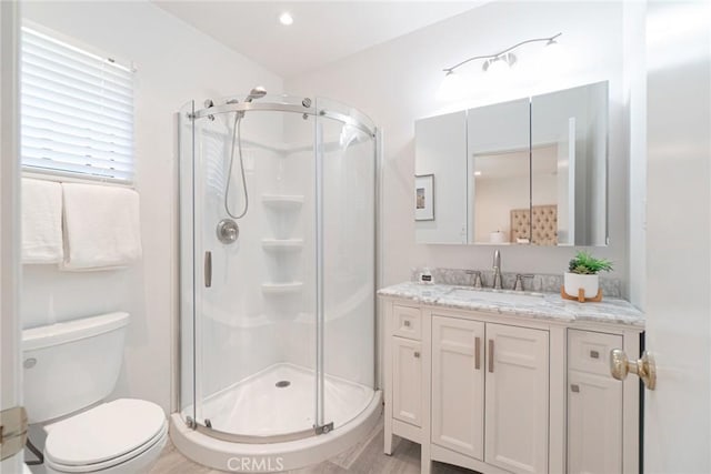 full bathroom with a shower stall, vanity, and toilet