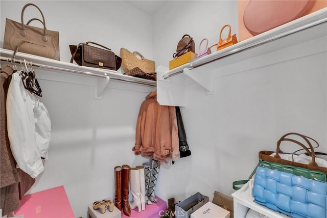 view of walk in closet