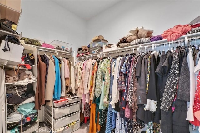 view of walk in closet