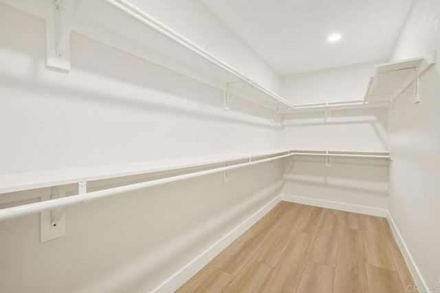 spacious closet featuring light wood finished floors