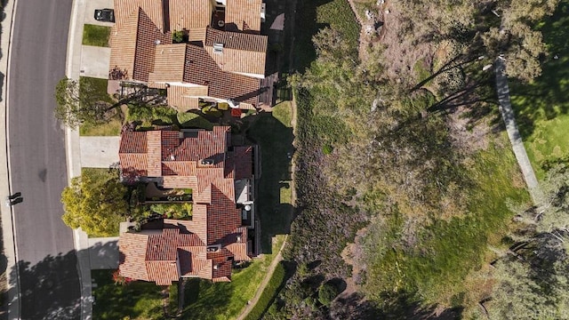bird's eye view