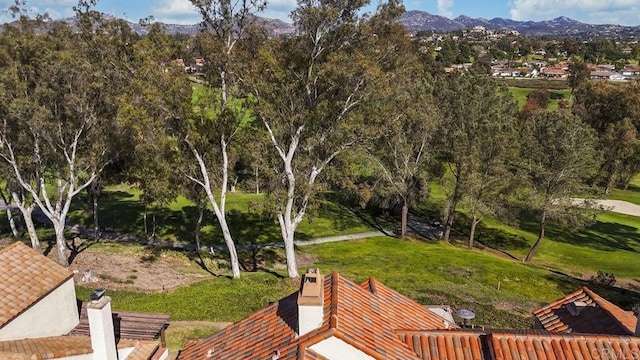 view of property's community featuring a yard and a mountain view