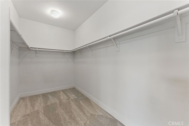 walk in closet featuring light carpet