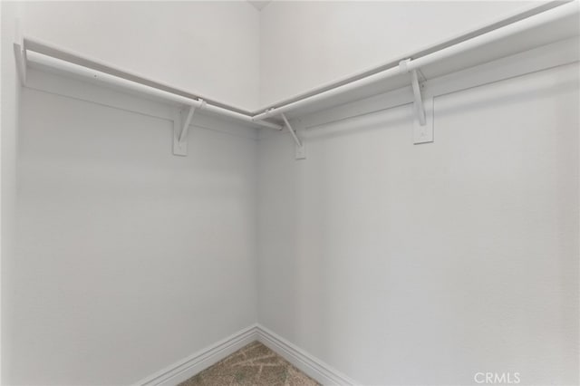 spacious closet with carpet