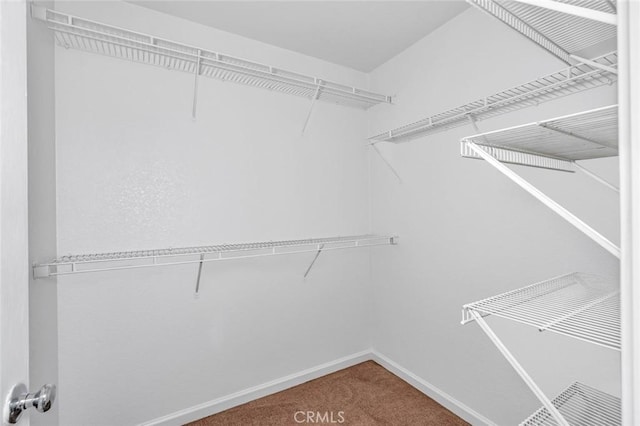 walk in closet featuring carpet